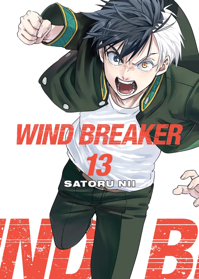 WIND BREAKER Volume 13