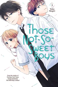 Those Not-So-Sweet Boys Volume 3 cover